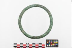 Foto von Bronzering (NHMW-PRAE-023884)